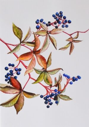 Original Virginia Creeper Watercolour Painting – A4 Botanical Artwork
